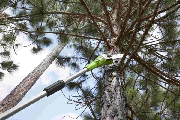 40V Pilarka 20 cm wysięgnik Greenworks G40PSF - obrazek 3